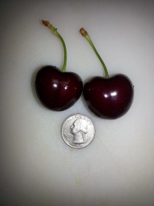 big cherries                        