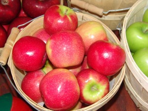 plady basket                                